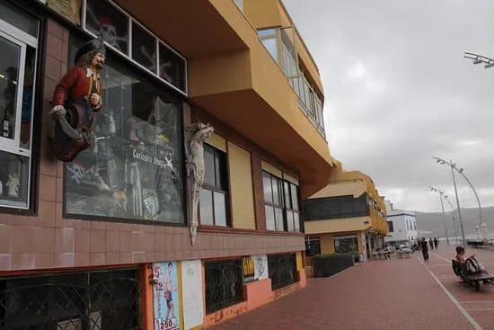 Crespo Curiosity Shop