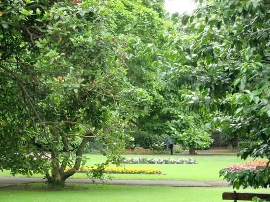 Palmerston Park