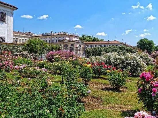 Roseto Niso Fumagalli