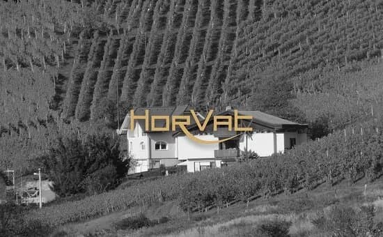 Vinogradi Horvat