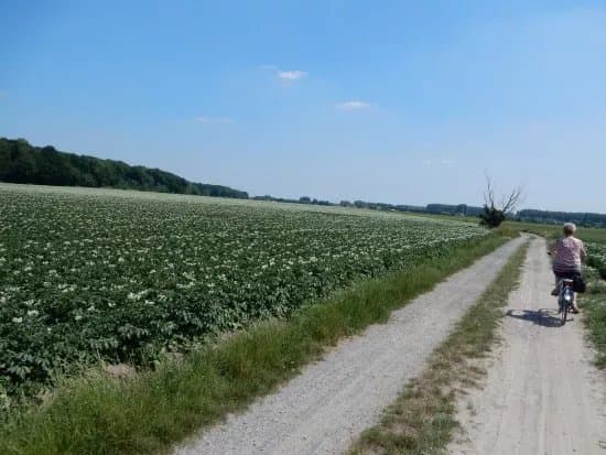 Drongengoed Bicycle Trail
