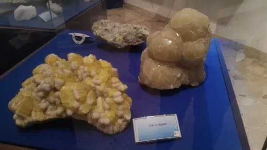 Museo Geologico e Paleontologico G.G. Gemmellaro