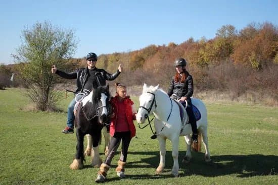 Royal Horse Club