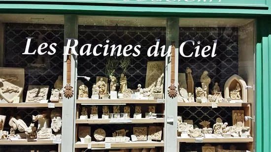 Les Racines du Ciel