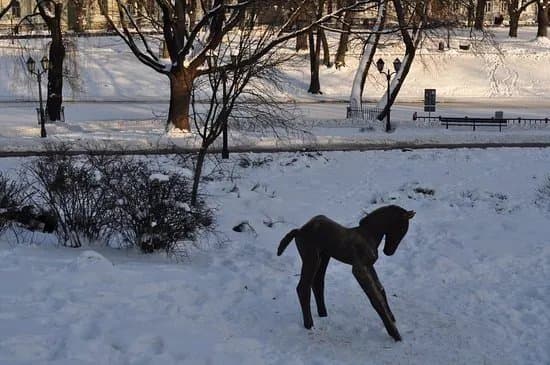 Sculpture Foal