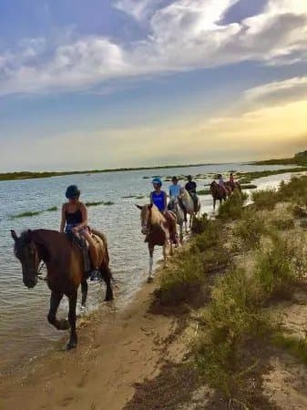 Tavira Equestrian Tourism