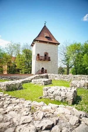 Cracow Saltworks Museum - Castle Location