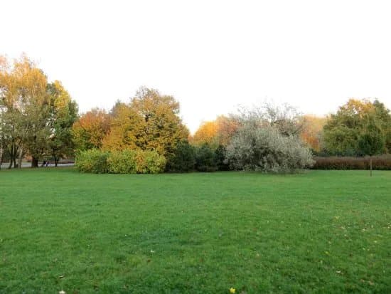 Park Jana Pawla II - Legi Debinskie