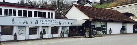 Zampetta