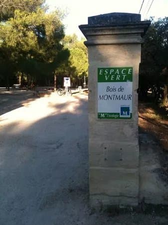 Bois de Montmaur