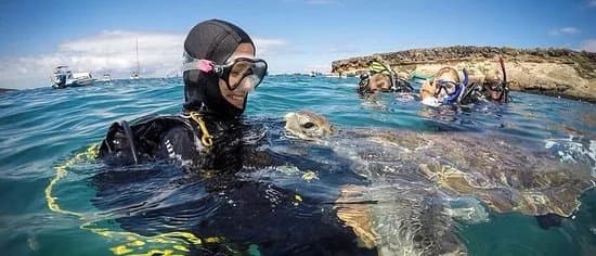 Tenerife Diving Academy
