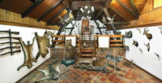Hunting Collection and Dormouse Museum