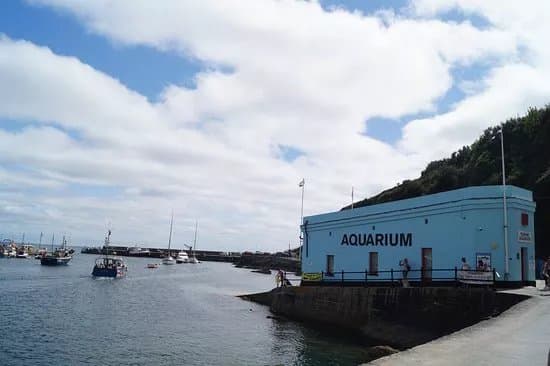 Mevagissey Aquarium