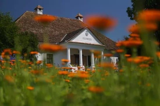 Szentabrahami Organic herb garden