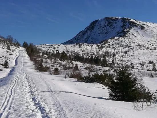 Melshornet