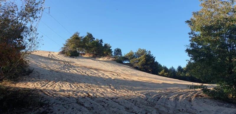 Siedlecka Desert
