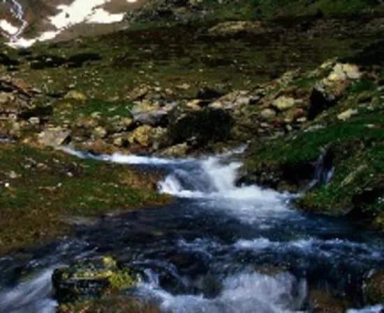 Cami de les Basses de les Salamandres