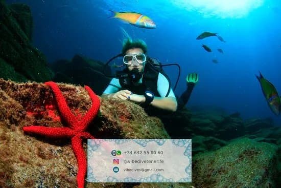 Vibe Dive Center