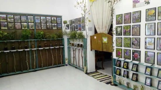 Rodos Nature - Folklore Museum
