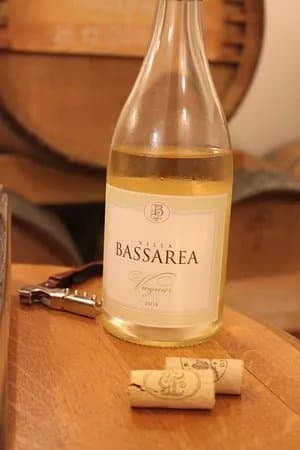 Villa Bassarea