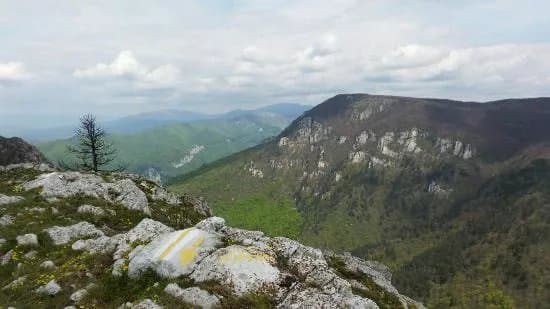 National Park Domogled