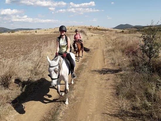 Happy Trails