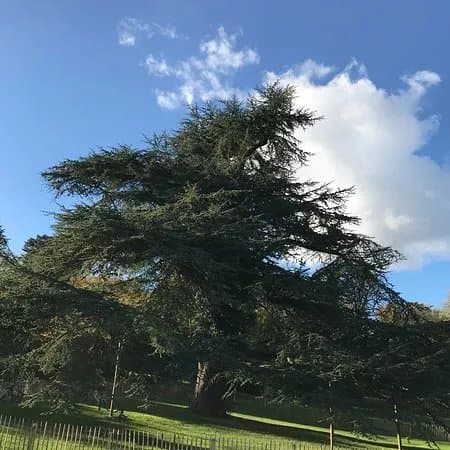 Le Chateau et Parc Madame de Graffigny