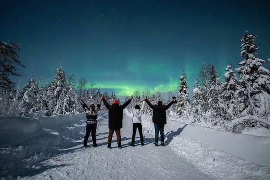 One Day in Lapland