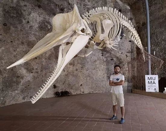 Muma Museo Del Mare Milazzo