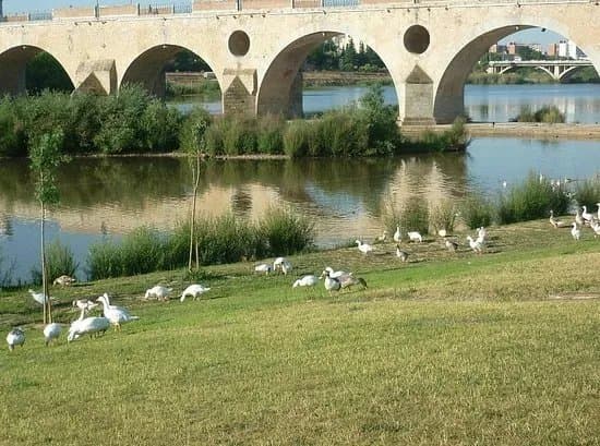 Parks & Nature
