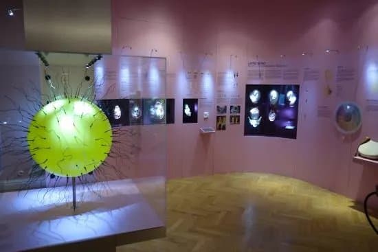 Estonian Health Museum