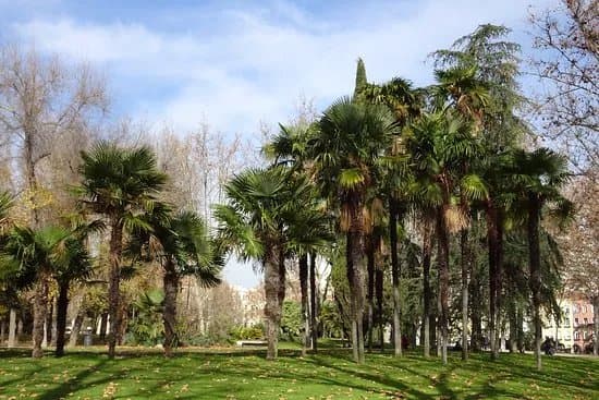 Parque De La Montana