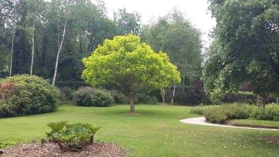 Les Jardins du Lac