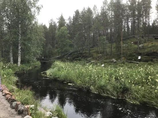 Jokkmokks Fjalltradgard
