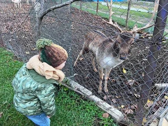 Parcul Zoologic Radauti