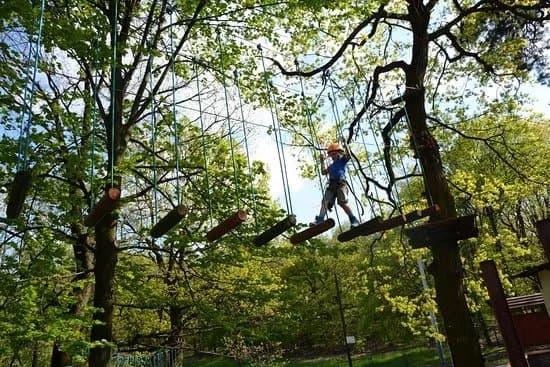 Park Linowy Wiezyca