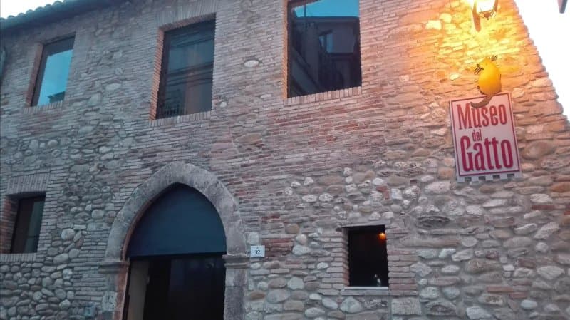 Museo del Gatto
