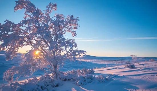 Kaldoaivi Wilderness Area