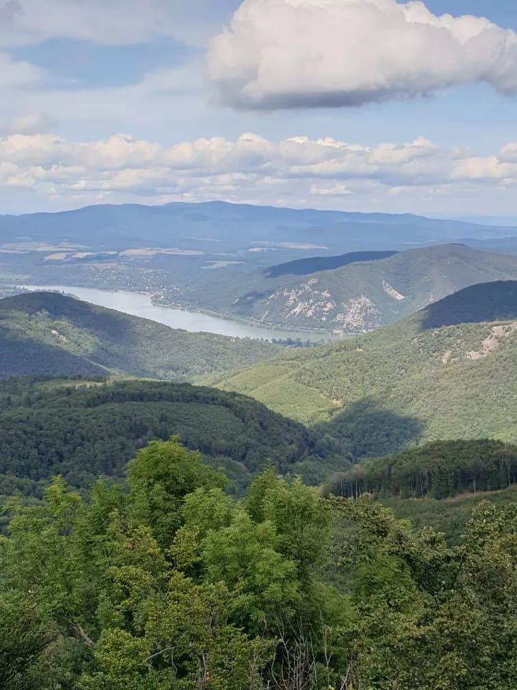 Rezso Lookout