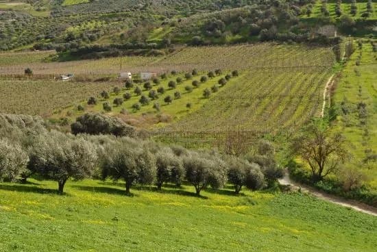 Tours Made in Crete