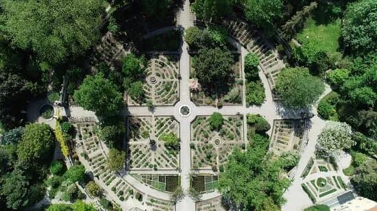 Orto Botanico 1545