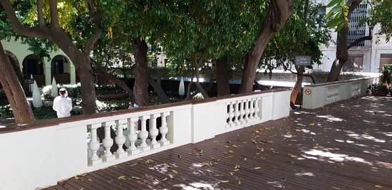 Jardi de la casa Ignacio de Puig