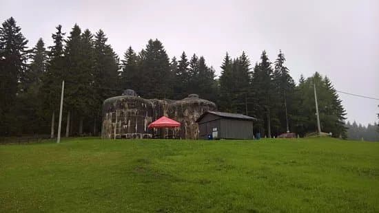 The Fort Skutina