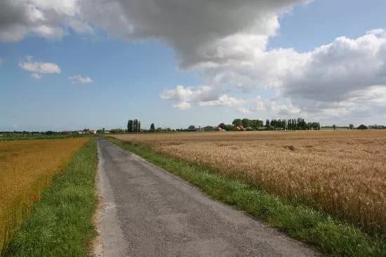 't Groot Moerhof