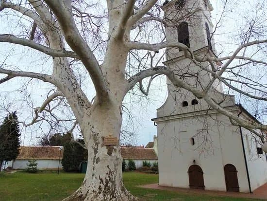 The Lower church from 1718