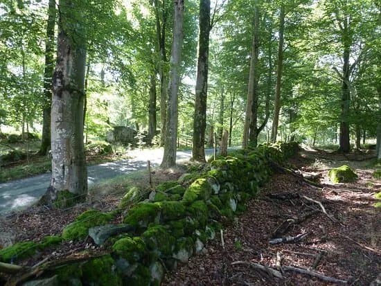 Skarva Naturreservat