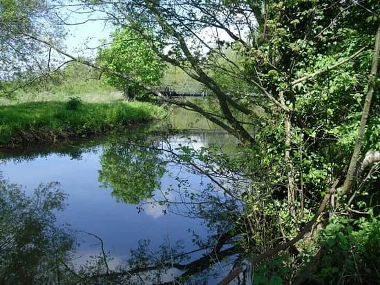 French Weir Park