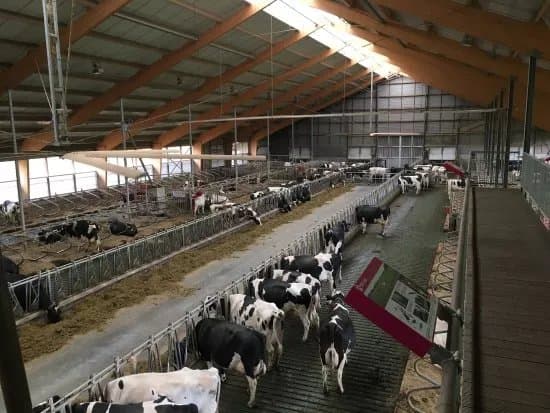 Boerderijwinkel Zandman