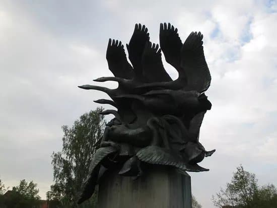 The Wild Swans