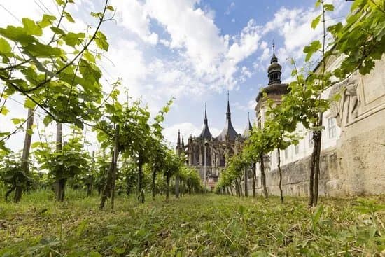 Vinne sklepy Kutna Hora